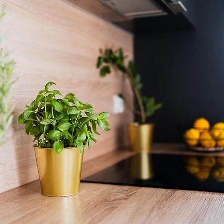 City Center - 3 Rooms - New Building - Private Parking Place - Garage Wrocław Exteriör bild